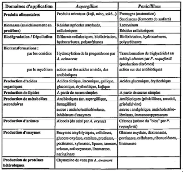 Tableau 1: Principaux domaines d’application des champignons filamenteux appartenant aux  genres Aspergillus et Pénicillium