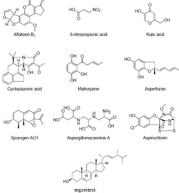 Figure 10: Structures de quelques métabolites secondaires de l’espèce Aspergillus flavus   [133-135] 