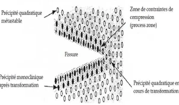 Figure I-11 : Mise en compression de la fissure par des particules de zircone  transformées [91] 