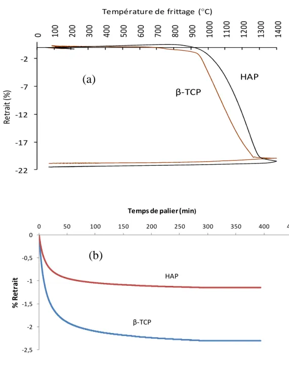 Figure  II-9 : Essais dilatométriques des poudres HAP et β-TCP  (a) Courbe de dilatation-retrait ; (b) temps de palier  II.7 Caractérisation microstructurale des céramiques 