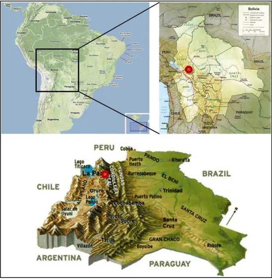 Figure  5 :  Cartes de la région étudiée. Les cartes du haut permettent de situer la Bolivie sur le  continent Latino-Américain ainsi que la région dont il est question dans cette thèse