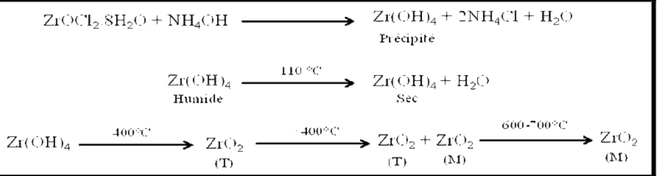 Figure I-7 Représentation schématique des étapes de préparation de l'oxyde de  zirconium par la méthode precipitation [185] 