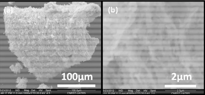 Figure II-23 Images MEB de mousse d’oxyde de cérium : M_CeO 2 _0,1 obtenue après  calcination à 700 °C des xérogels correspondants 
