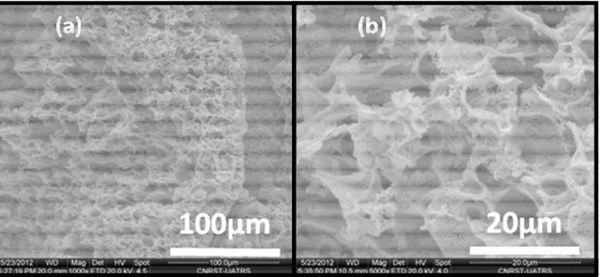Figure II-25 Images MEB de mousse d’oxyde de cérium : M_CeO 2 _0,1 obtenue après  calcination à 1100 °C des xérogels correspondants 