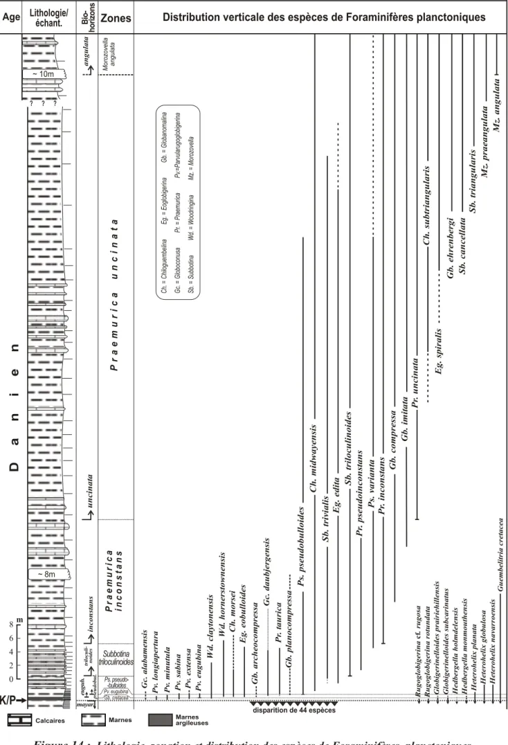 Figure 14 :  Lithologie, zonation et distribution des espèces de Foraminifères  planctoniquesdisparition de 44 espèces Mz