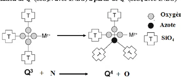 Figure 19: Mécanismes de formation des unités Q 4  à partir de Q 3  en présence d'azote  [57] 