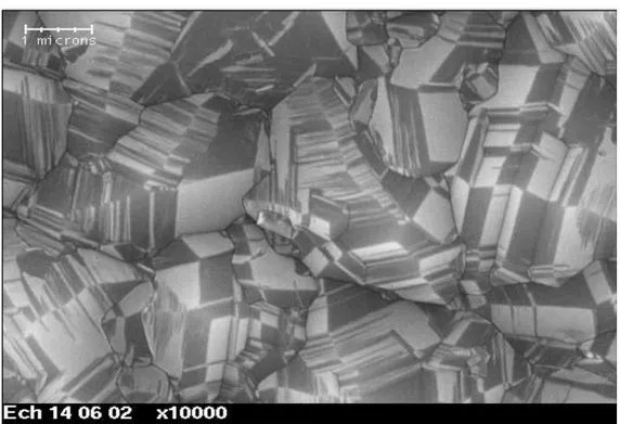 Figure II.4  Image en Microscopie Electronique à Balayage d‟un échantillon de diamant dopé  au Bore