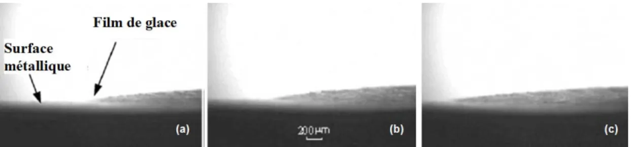 Fig. I.11 : Observation microscopique de la croissance de la couche de glace sur la  surface surrefroidie (surrefroidissement entre 2 et 5°C), (a) début ; (b) t=10s ; (c)  t=20s (Qin et coll., 1992) 
