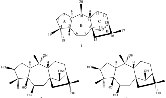 Figure 2. Structures moléculaires de l’andromedane 1 et des grayanotoxines I 2 et III 3