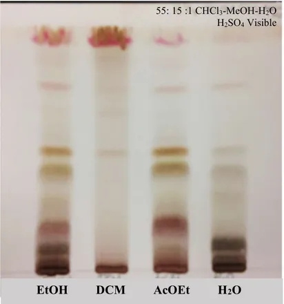 Figure 23. CCM récapitulative de l’extrait éthanolique des parties aériennes et des fractions  DCM, AcOEt et H 2 O