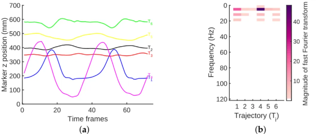 Figure 1. (a) An example set of marker trajectories from human gait data. (b) The corresponding