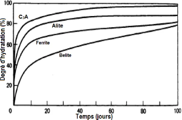Figure I.2. 3 : Hydratation des phases de clinker dans une pâte de ciment de type I [28] 
