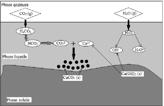 Figure I.4. 2 : Mécanisme de carbonatation de Ca(OH)2  c) Carbonatation des silicates de calcium hydratés 