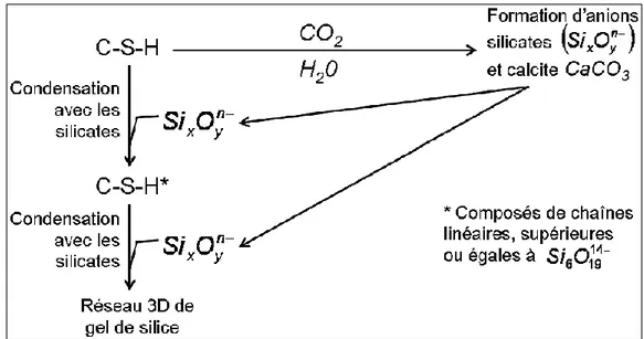 Figure I.4. 3 : Mécanisme réactionnel de carbonatation des C-S-H selon Dunster [64]  d) Carbonatation d’autres hydrates à bases d’aluminates 