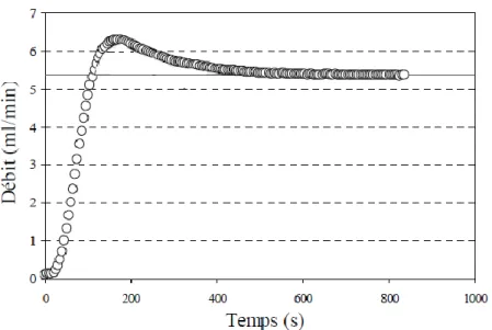 Figure II.2. 3 : Stabilisation de l’écoulement de gaz dans un béton [99] 