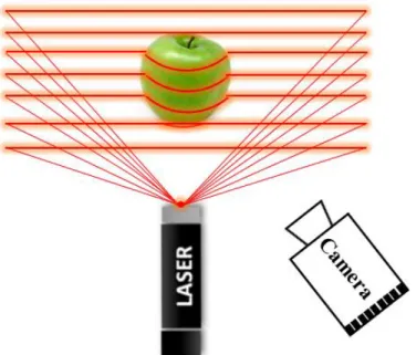 Figure 2.6 : Acquisition 3D active par  émission d’un motif de segments laser. 