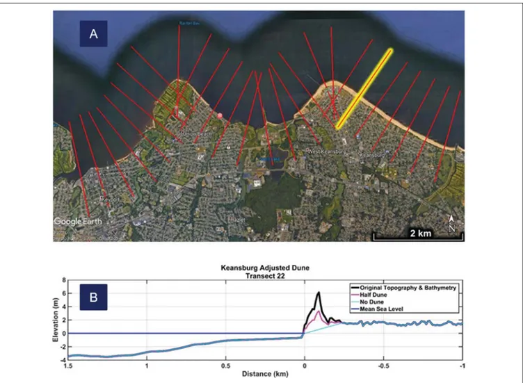 FIGURE 2 | (A) Google Earth view of Keansburg transects with transect #22 highlighted in yellow