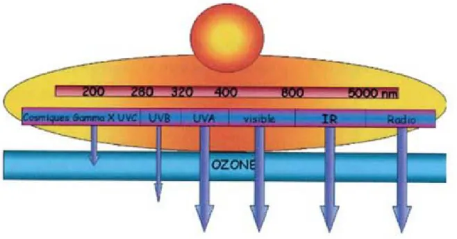 Figure 1 : spectre solaire [4] 