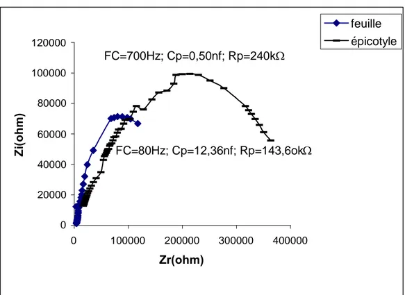 Figure 7 : Impédance de l'épicotyle et de la première feuille de maïs âgé de 14 jours.0200004000060000800001000001200000100000200000300000400000Zr(ohm)Zi(ohm)feuille épicotyleFC=80Hz; Cp=12,36nf; Rp=143,6okFC=700Hz; Cp=0,50nf; Rp=240k