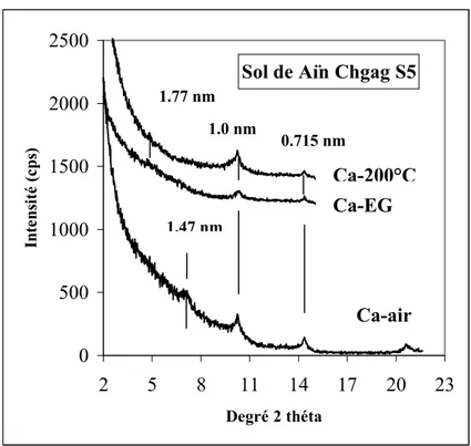 Figure 7. Diffractogrammes de RX du sol de Aïn Chgag S5 pour Ca-air, Ca-EG et Ca-200°C 