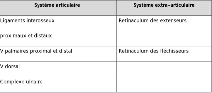 Tableau : Classification des ligaments selon Sennwald 