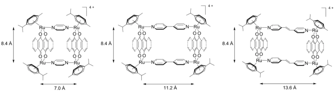 Figure 26 : Estimation de la taille des différentes cavités des complexes (T 1  – T 9 ) 