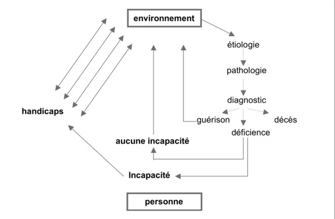 Figure 11 - Le handicap situationnel (Minaire, 1992 p.377, version adaptée) 