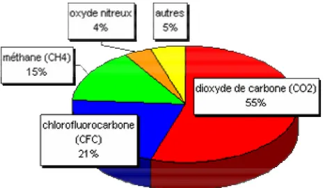 Figure  I.3 :  Part  des  différents  gaz  à  effet  de  serre  dans  l’atmosphère  (IPCC, 2001)