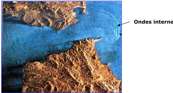 Figure  I.22  :  Extrait  de  l’Image  ERS-1  (ESA)  montrant  les  effets  des  courants et des marées sur la circulation des eaux