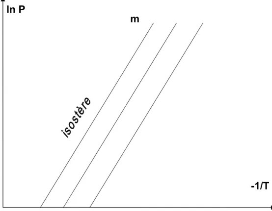 Figure I .  5: Exemple d’isostères dans le diagramme de Clapeyron 