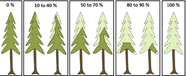 Figure 2.3. Methodology used to estimate the cumulative defoliation (adapted from (Lavoie et 