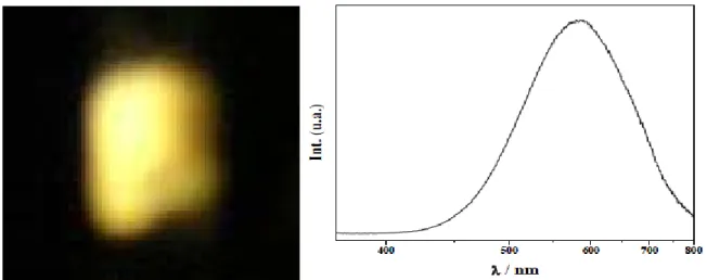 Figure  I-6 : Luminescence  jaune  de particules  de ZnO  sous une  longueur  d’onde  d’excitation    de 320 nm