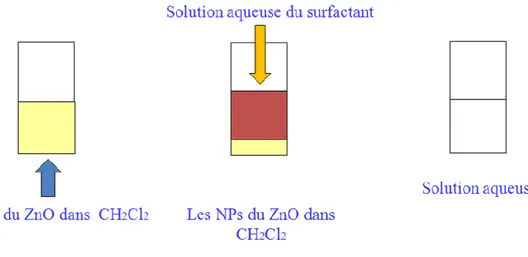 Figure  II-2: Transfert  des nanoparticules  de ZnO dans l'eau  en utilisant  un   surfactant