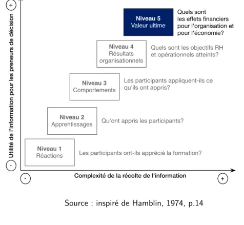 Fig. 5: Le 5 e niveau du modèle de Hamblin (1974)