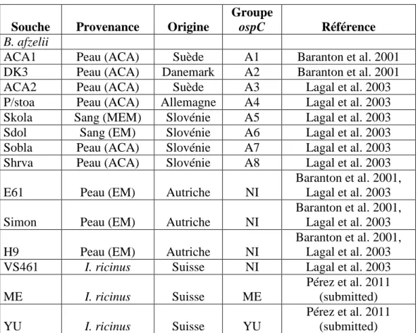 Tableau  1 :  souches  de  B.  afzelii  utilisées  comme  références  pour  l’analyse  des  profils  SSCP,  selon les groupes invasifs A1 à A8 définis par Baranton et al
