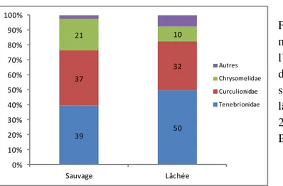 Figure 17. Abondances relatives  moyennes (Ar) des familles de  l’ordre des coléoptères identifiés  dans les estomacs d’individus  sauvages (n=42) et d’individus  lâchés (n=32) échantillonnés en  2004 et 2006 à Missour et en 2007 à  Bouârfa
