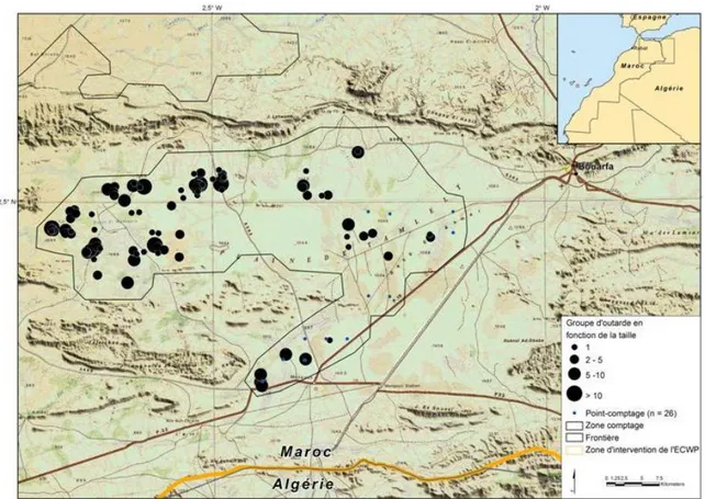 Figure  20.  Répartition  des  groupes  d’outardes  observés  sur  Tamlelt  lors  des  comptages  d’Automne 2007 