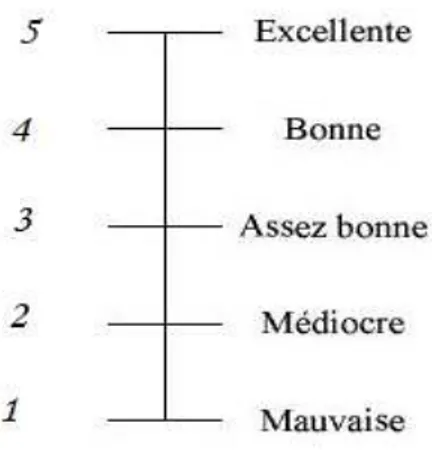 Figure 7 : Un exemple d’échelle de catégories de qualité visuelle 