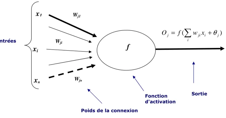 Figure 10 : Neurone Formel   j 