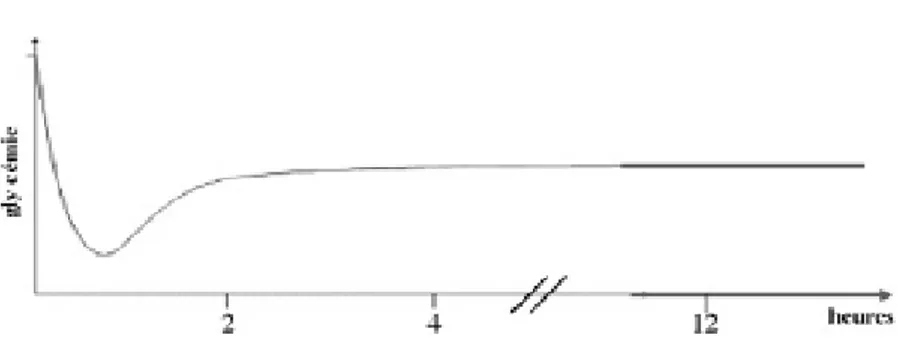 Figure 9 : La variation de la glycemie chez nouveau né à terme après la naissance  (36)