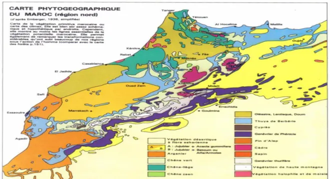 Figure I.2 : Répartition des subéraies au Maroc (Emberger, 1939) 