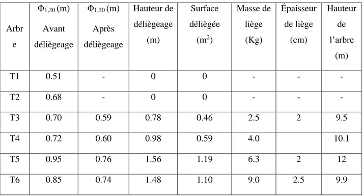 Tableau  II.2.  :  Caractéristiques  dendrométriques  des  six  arbres  de  chêne-liège  échantillons  