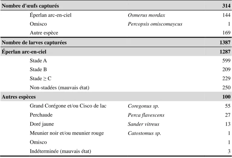 Tableau 2 : Identification et dénombrement des œufs et des larves de poisson capturés au lac Saint-Jean  du 15 mai au 21 juin 2019