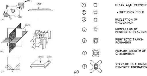 Figure  2.26  Dessins  schématiques  des  différentes  morphologies  présentées  par  les  cristaux  d'Al 3 Ti:  (a) 
