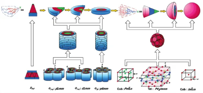 Figure 9. Représentation schématique de l’auto-assemblage des dendrons décrits par Percec