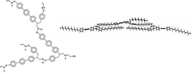 Figure 10. Représentations du dendrimère de deuxième génération montrant l’organisation parallèle 