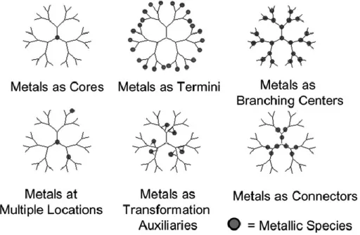 Figure 20. Représentations schématiques des différentes occupations des métaux  dans les  métallodendrimères