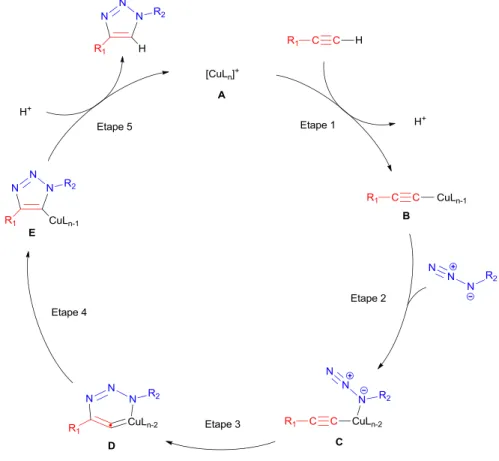 Figure 1.18 Cycle  catalytique selon Sharpless  et al.  de  la  cycloaddition  1,3-dipolaire  catalysée  par du  cuivre(I)