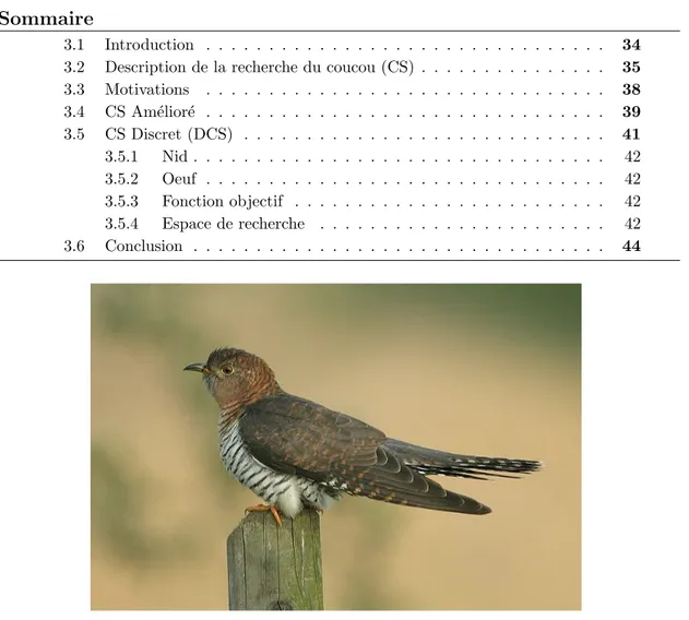 Figure 3.1 – Cuckoo © Nigel Blake, from the surfbirds galleries.