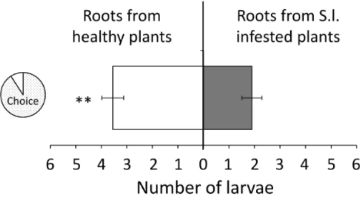 Figure 2: D. virgifera larvae detect leaf-herbivore induced changes in root volatiles